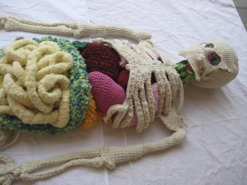 Knitted anatomy